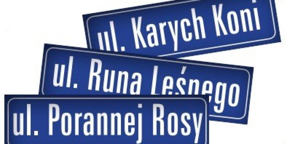 Niektóre nazwy ulic bywają zabawne czy intrygujące, inne wywołują spory (fot. red) - fot. red.