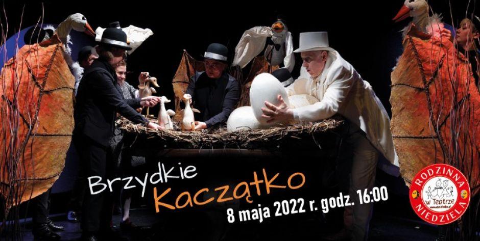 Brzydkie kaczątko już 8 maja w Centrum Kultury i Sztuki w Siedlcach! - fot. plakat