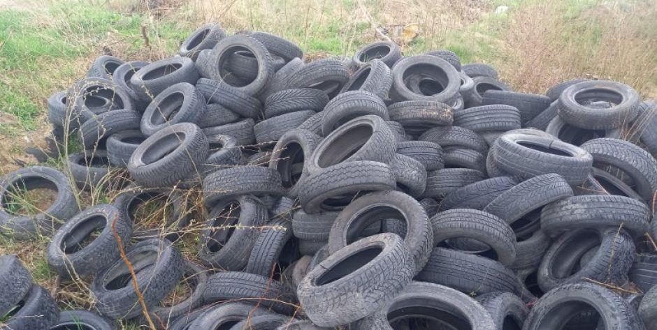 Dzikie wysypisko opon w Pruszynku - fot. sd