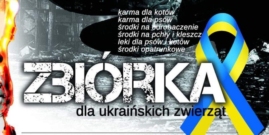 Zbiórka artykułów dla ukraińskich zwierząt - fot. j