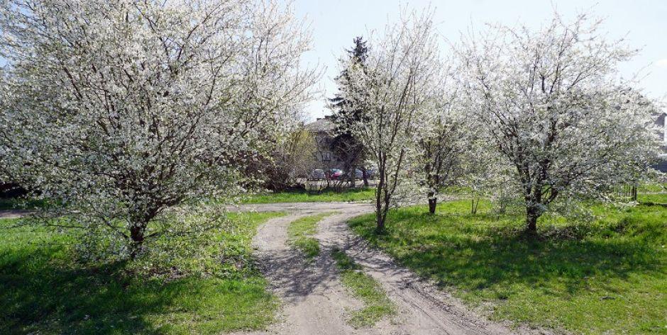 Tu ma być ulica ks. Kazimierza Czarkowskiego. Fot. Sej