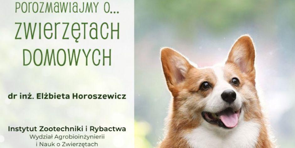 plakat - fot. as
