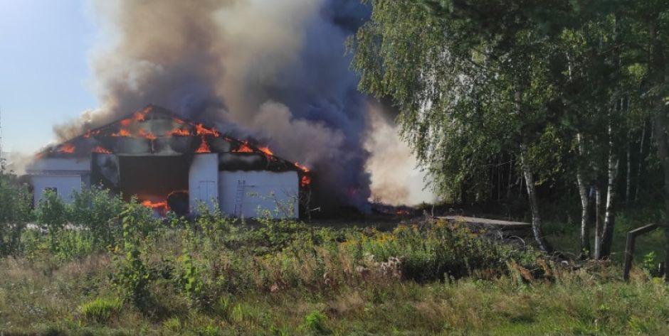 Pożar kurnika w Stoku Wiśniewskim fot. Czytelnik Piotr