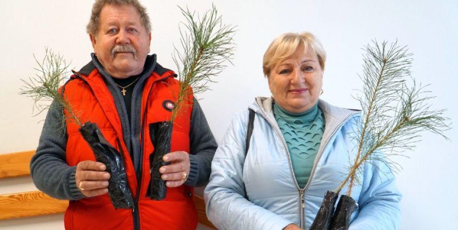 Nadleśnictwo Siedlce rozdaje drzewka mieszkańcom fot. Siriss
