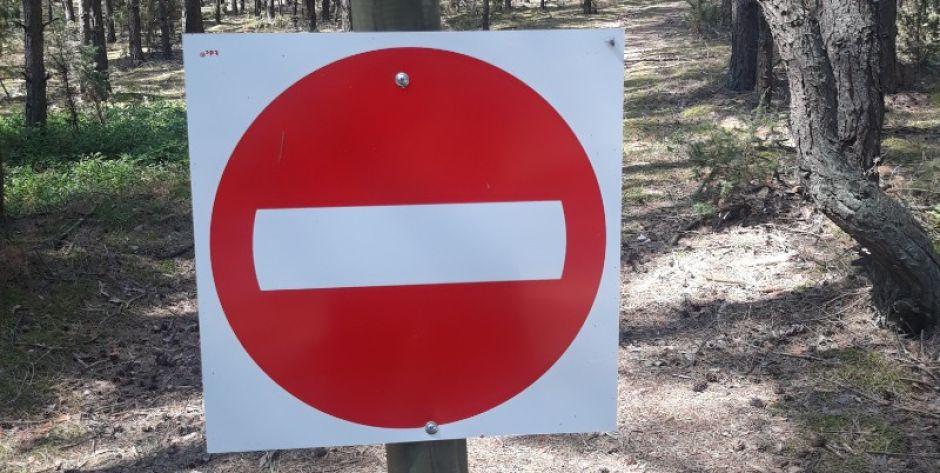 Znaki drogowe w środku lasu fot. ZBJ