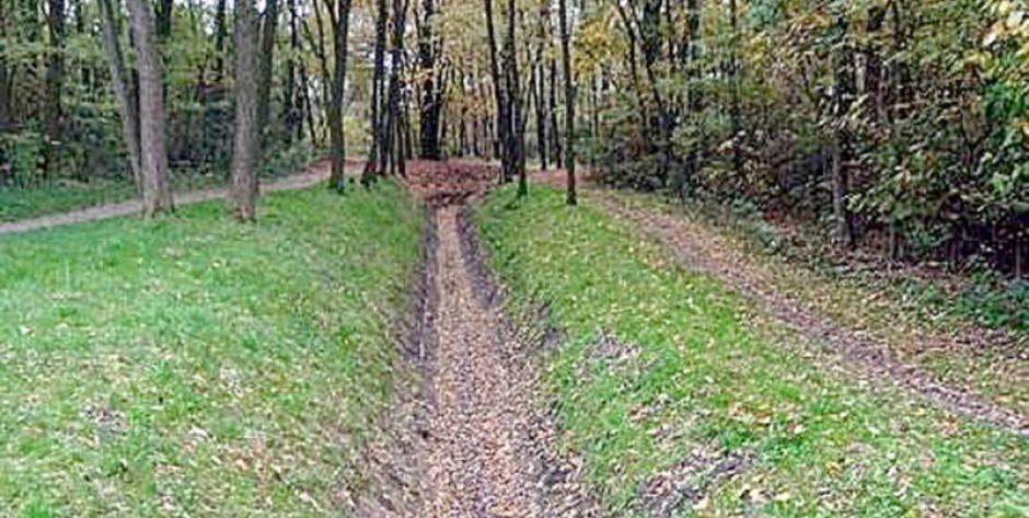 Donośnik wody z Muchawki jest zupełnie suchy. fot. ZBJ