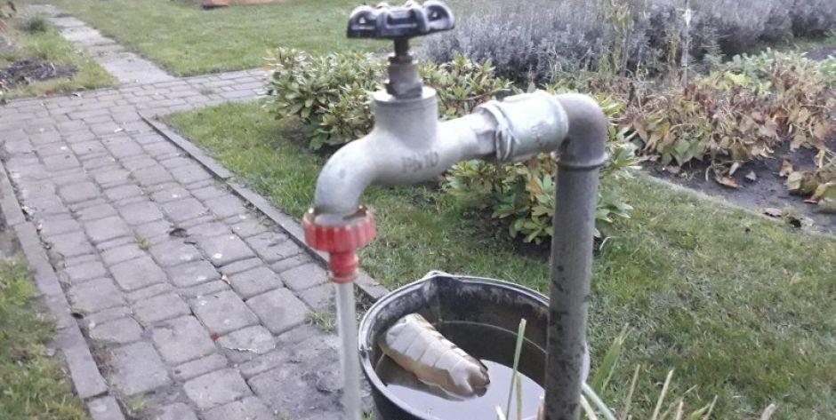 Z kranów na terenie ogródków leci woda! Fot. ZBJ