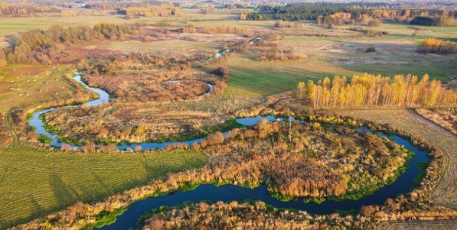 Nad piękną rzeką Liwiec fot. Krzysztof Skorupka - fot. sd