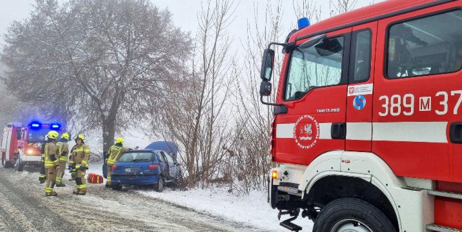 Stracił panowanie i uderzył w niewielkie drzewo - fot. OSP Wodynie - fot. n