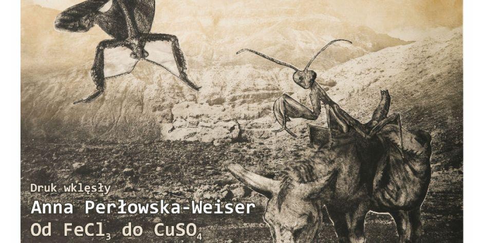Wystawa Od FeCl3 do CuSO4 - Druk wklęsły Anny Perłowskiej-Weiser  - fot. s