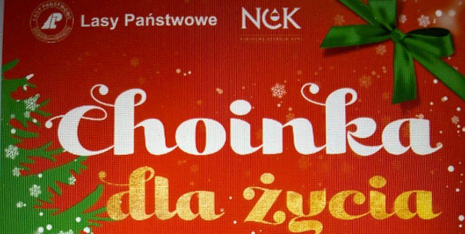 Oddaj krew - otrzymasz choinkę. Akcja Choinka dla życia - fot. e