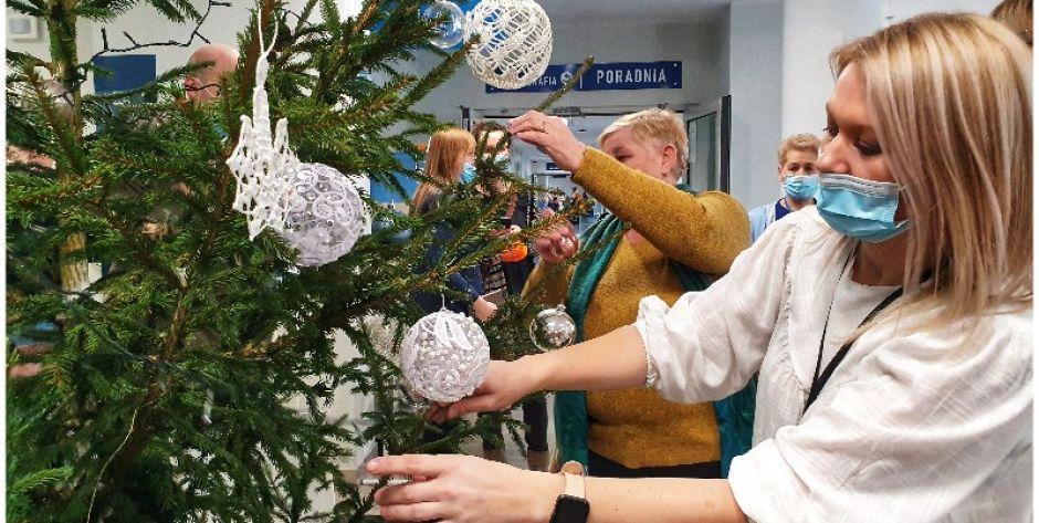 Choinki od Nadleśnictwa Siedlce dla Siedleckiego Centrum Onkologii - fot. Aga Król