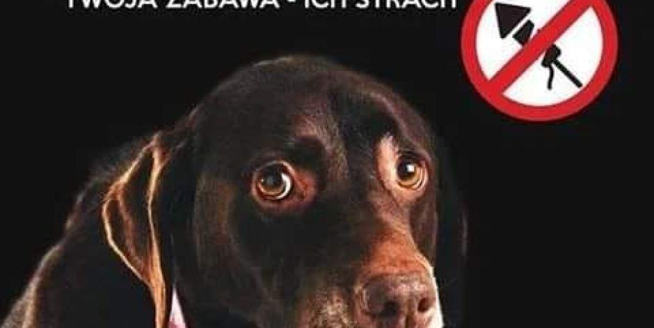 Nie strzelam w sylwestra - plakat - fot. sd