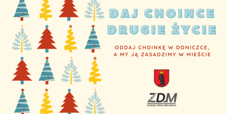 Łuków: daj choince drugie życie. Fot. UM Łuków - fot. UM Łuków