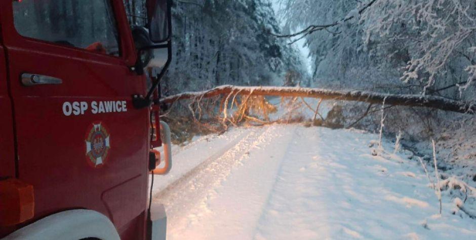 Ciężki padający przez całą noc śnieg spowodował, że łamały się drzewa i gałezie. Strażacy od kilku godzin usuwają jes z dróg. Fot. OSP Sawice - fot. OSP Sawice