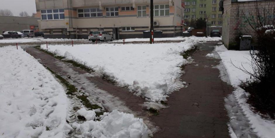 Fot. ZBJ