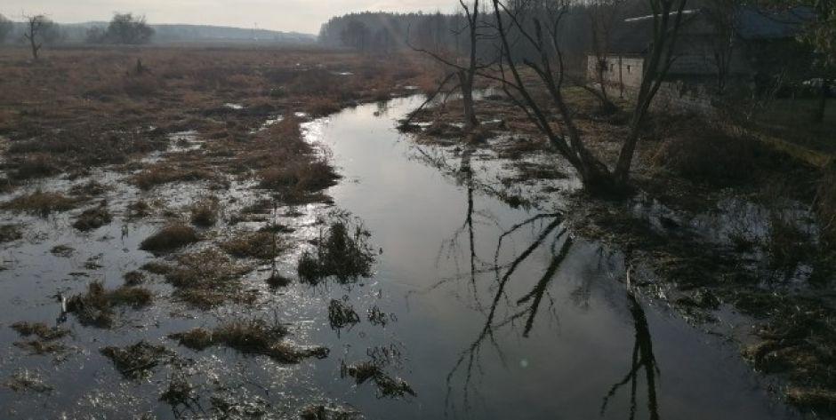 Nawet niewielka Muchawka wystąpiła z koryta. Fot. ZBJ