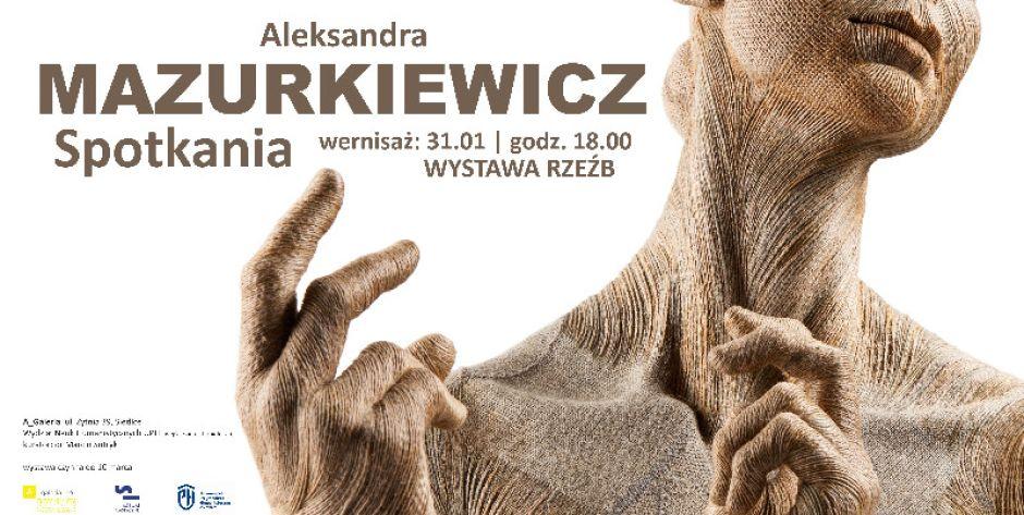 Spotkania - Wystawa rzeźb Aleksandry Mazurkiewicz - fot. d