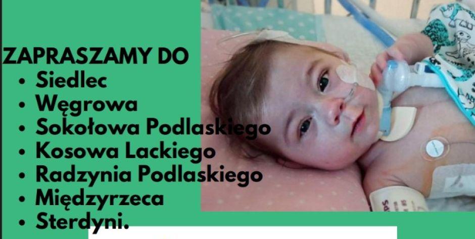Plakat - fot. j