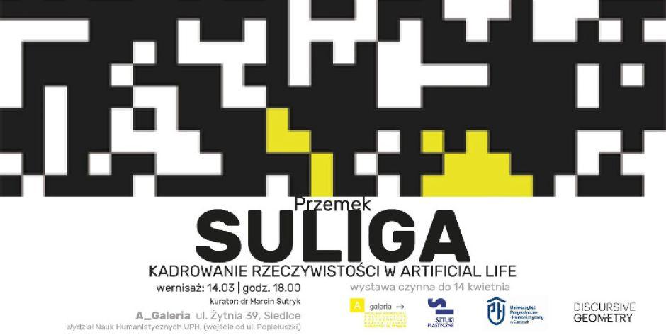Technologia wykorzystana w sztuce Przemka Suligi - fot. x