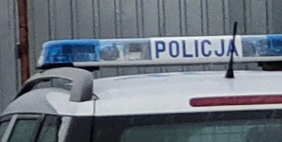 policja