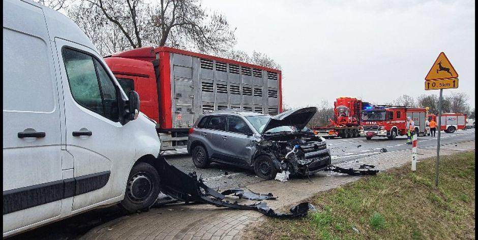fot. Aga Król