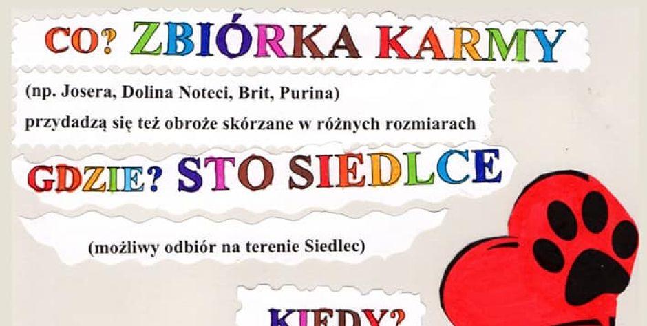 Zbiórka karmy - fot. STO