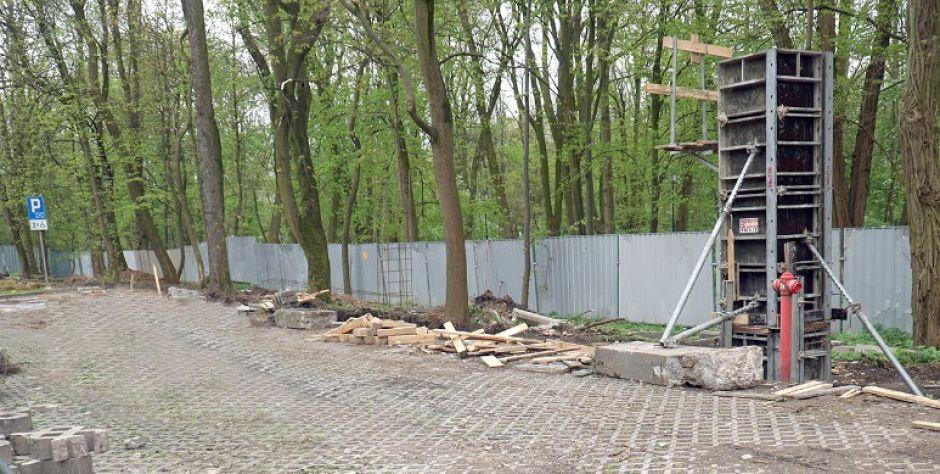 Drzewa, które znalazły się w linii ogrodzenia, zostaną zabezpieczone. fot. MS