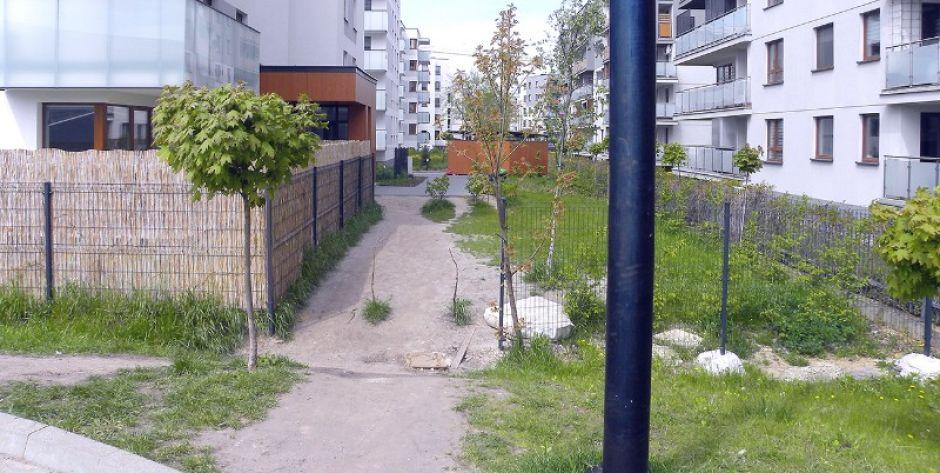 Wydeptana ścieżka na Osiedlu Bitwy Warszawskiej w Siedlcach fot. BS