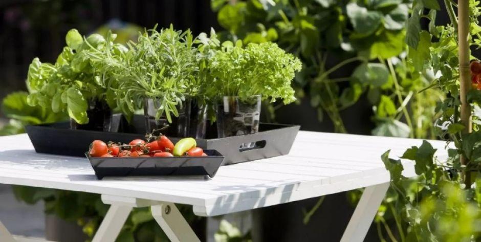 . - fot. jh