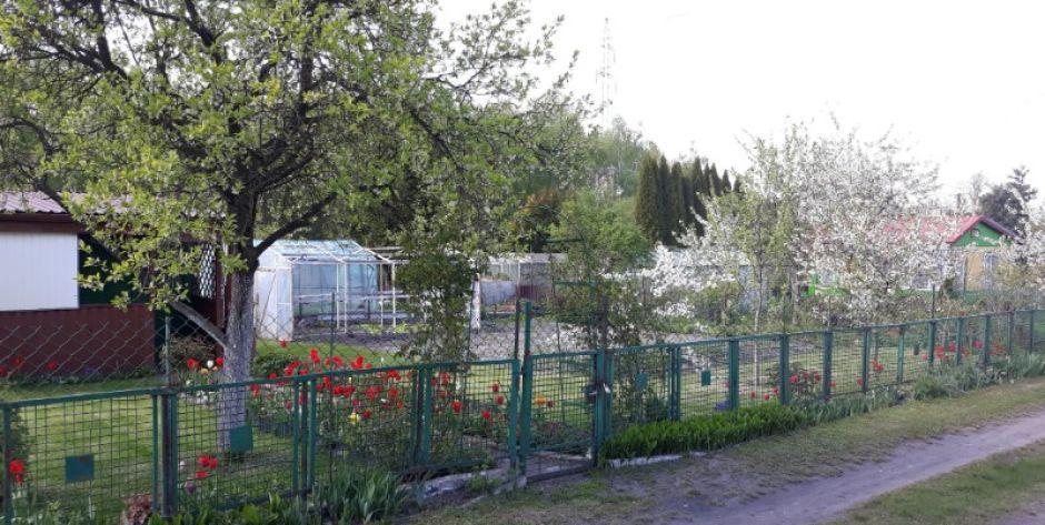 Ogródki działkowe fot. ZBJ