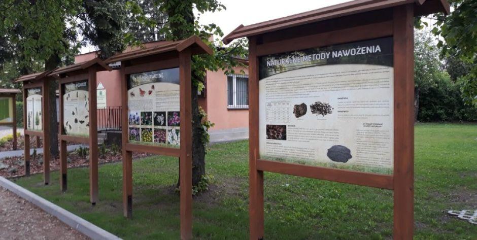Na terenie ogródków działkowych 