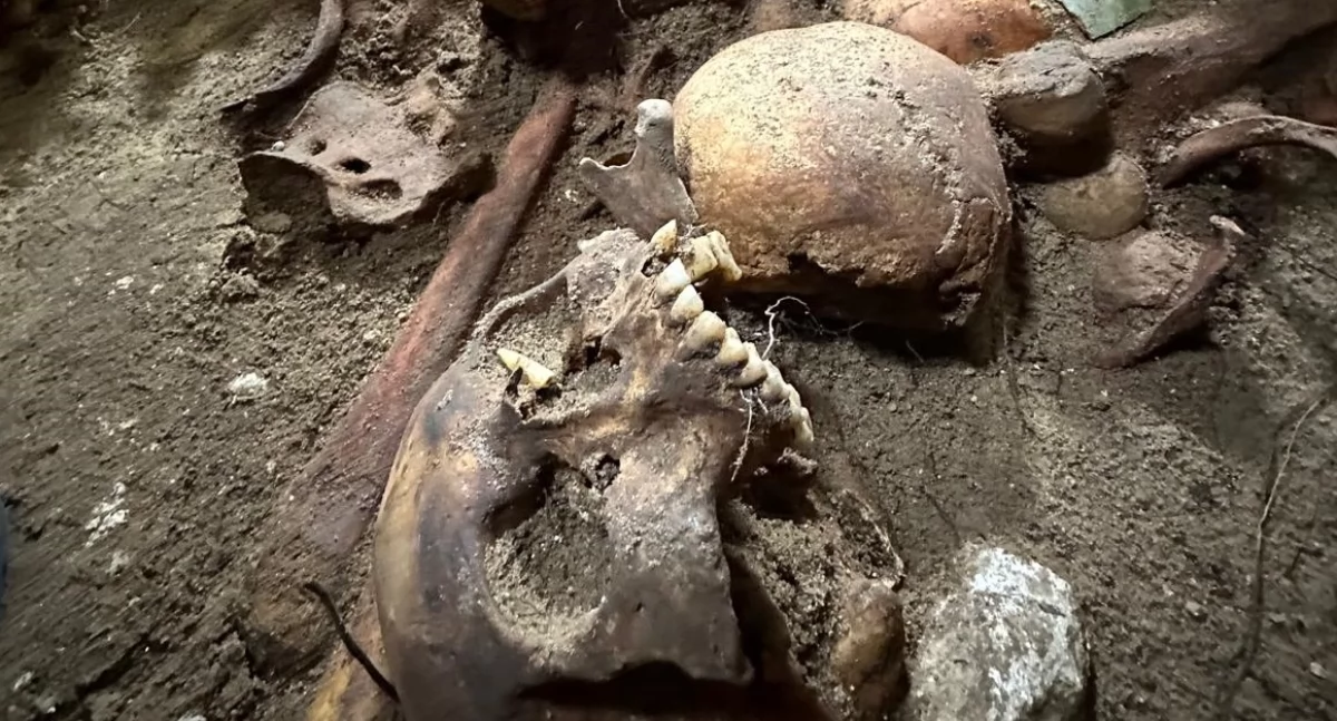 Historia, Zagadka przeszłości posadzką świątyni Kolejne odkrycia kościele Cegłowie - zdjęcie, fotografia