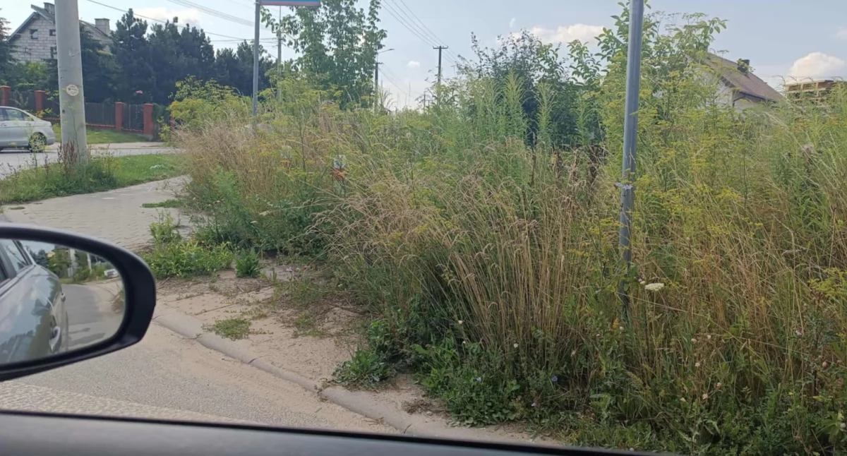 Fot. Czytelnik