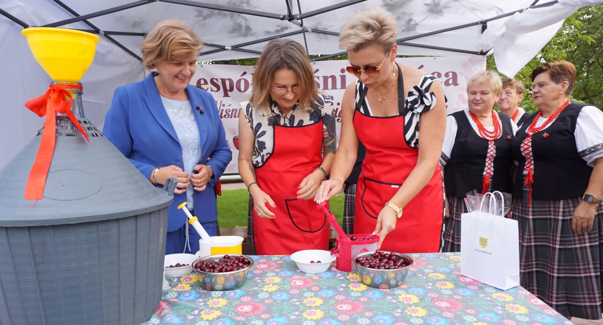 Drylowanie wiśni na przyszłoroczną wiśniówkę. fot. sej