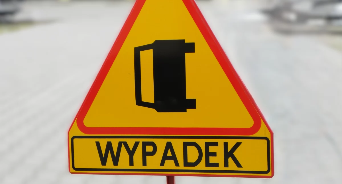 fot. sej