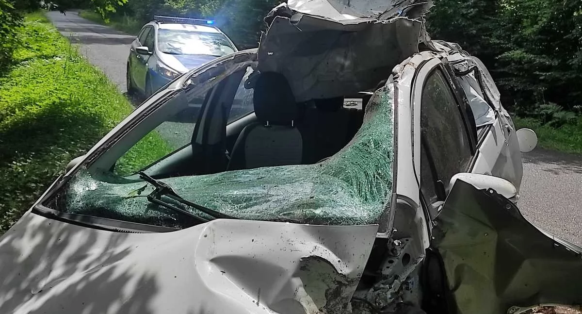 Zderzenie z łosiem. Policja apeluje o ostrożność na drogach leśnych - fot.: Policja Garwolin