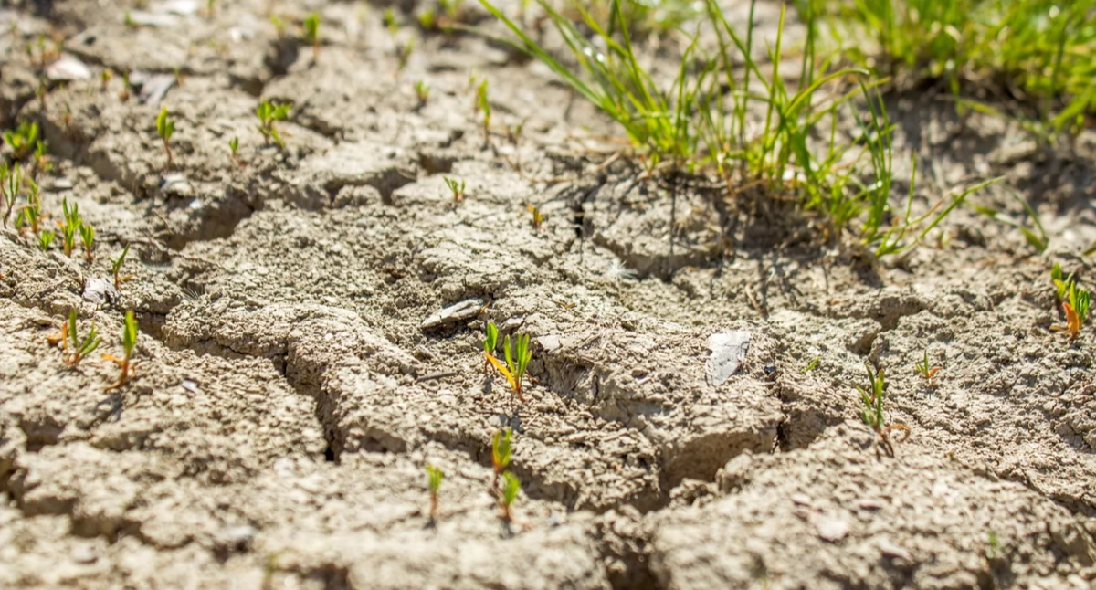 Zdjęcie symboliczne Pixabay