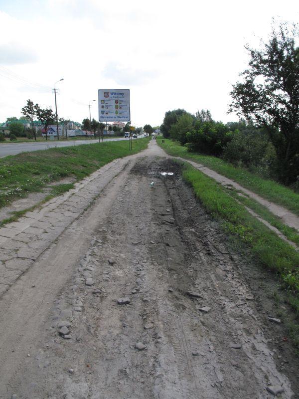 fot. Aneta Abramowicz - fot. 