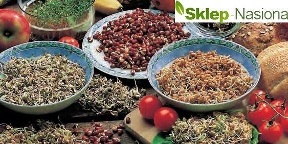 Sklep-Nasiona - fot. s