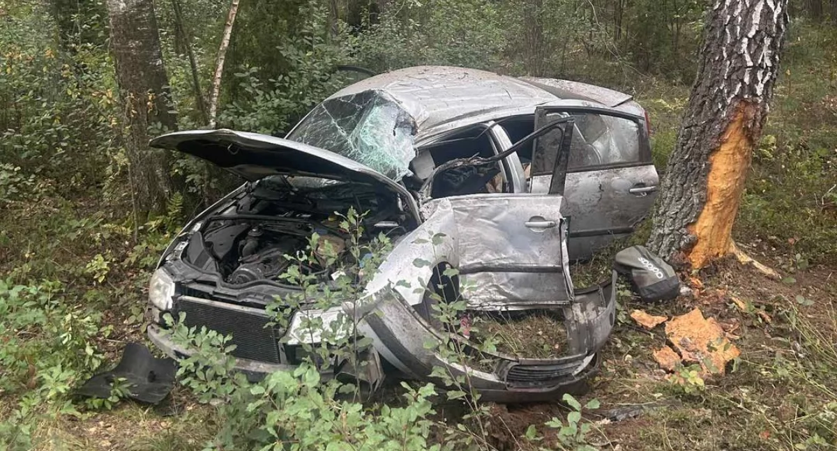 Groźny wypadek w Wielicznej. Dwie osoby w szpitalu, lądował śmigłowiec LPR - fot. OSP KSRG Ostrówek