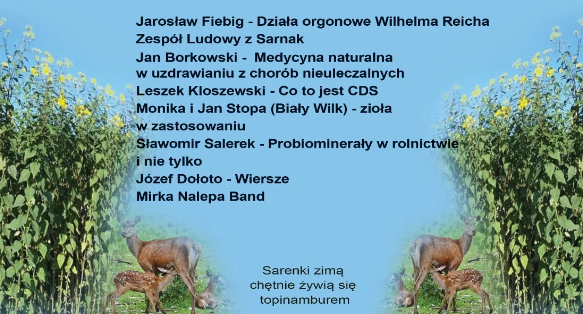 Imprezy , Topinamburiada Chlebczynie koło Sarnak czyli edukacja zdrowotna świeżym powietrzu - zdjęcie, fotografia