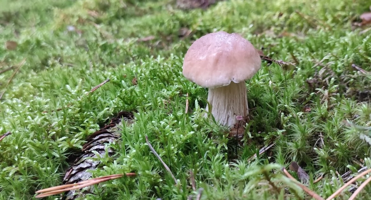 Fot. Czytelniczka