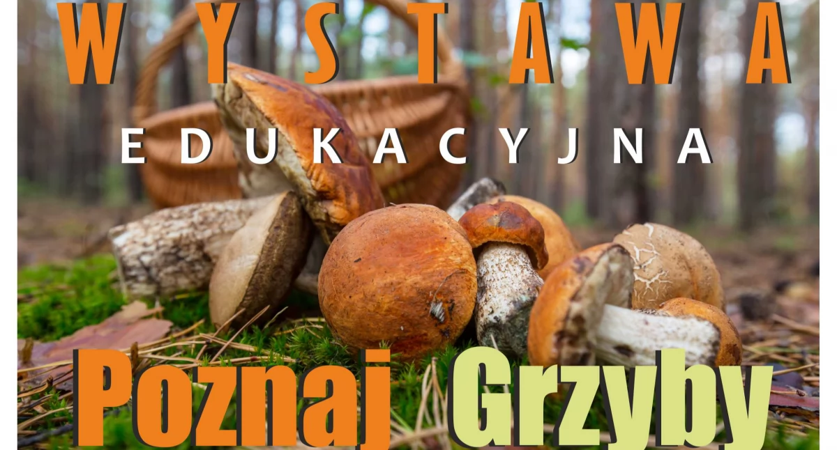 Zdrowie, Siedlce wystawa edukacyjna „Poznaj grzyby unikniesz zatrucia” - zdjęcie, fotografia