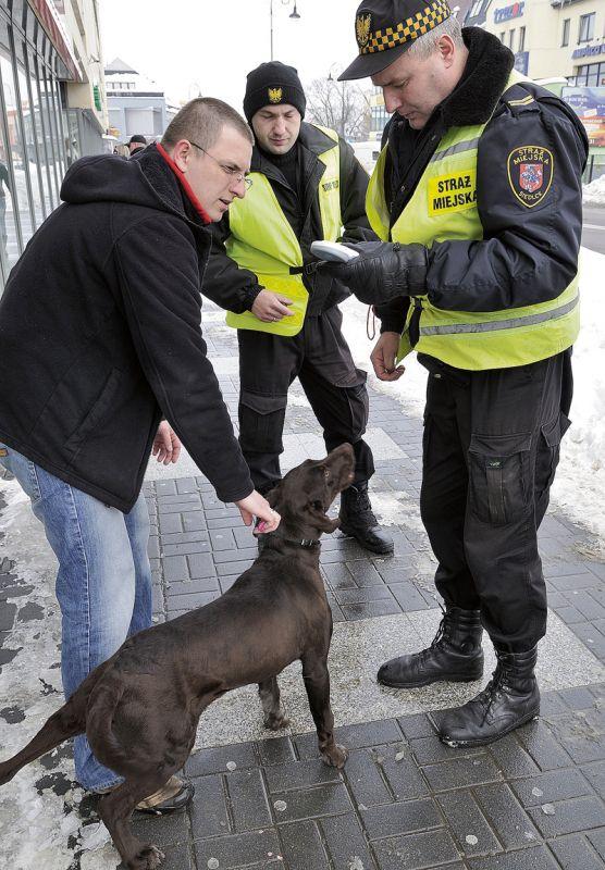 Dzięki wszczepionemu czipowi ten młody wyżeł, znaleziony na ulicy, wrócił szybko do swego pana. Fot. J. Mazurek - fot. 