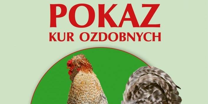 plakat - fot. s