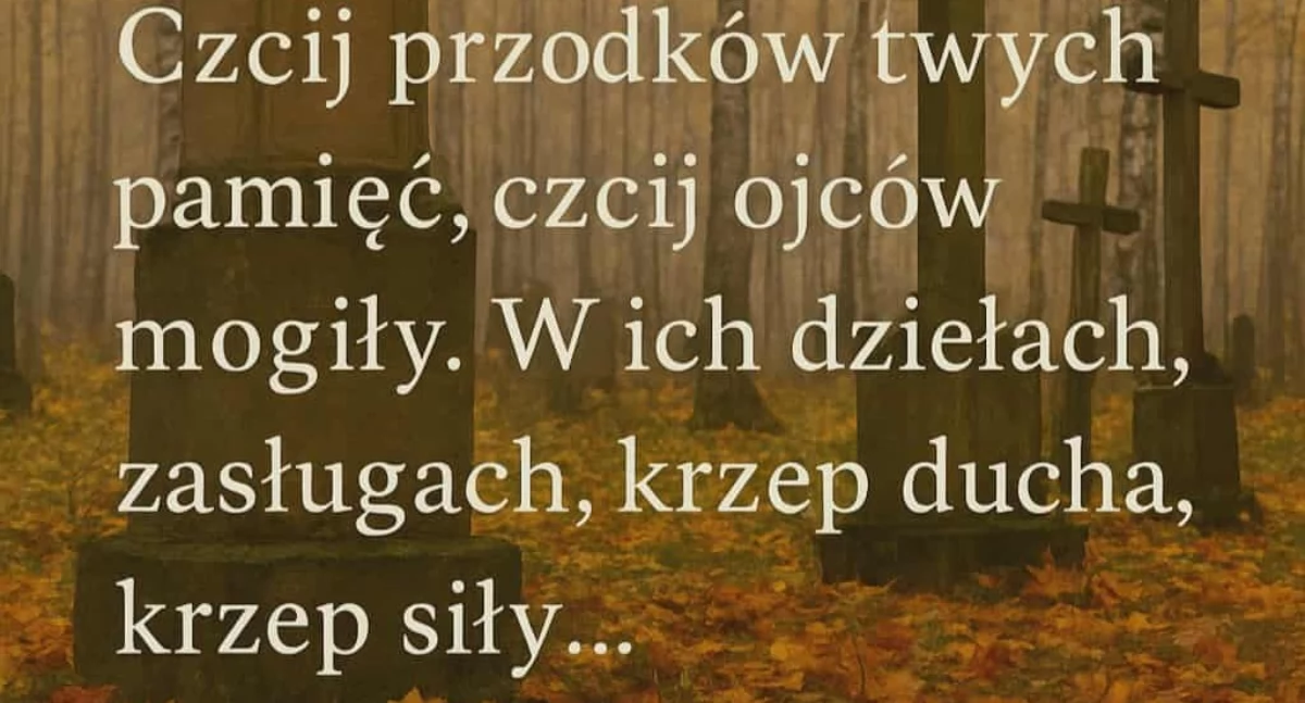 Edukacja, Zabierzcie wnuki groby przodków! - zdjęcie, fotografia