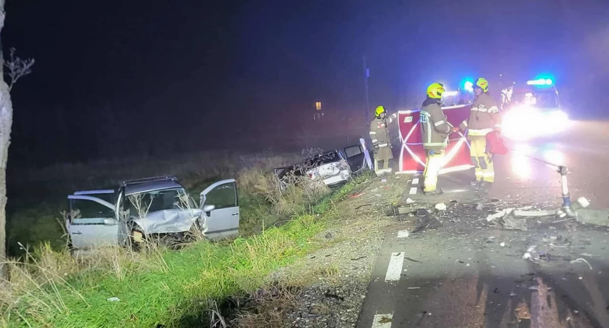 Śmiertelny wypadek na DK76. Pijany kierowca BMW z zakazem prowadzenia zderzył się czołowo z fordem - fot. OSP Borowie
