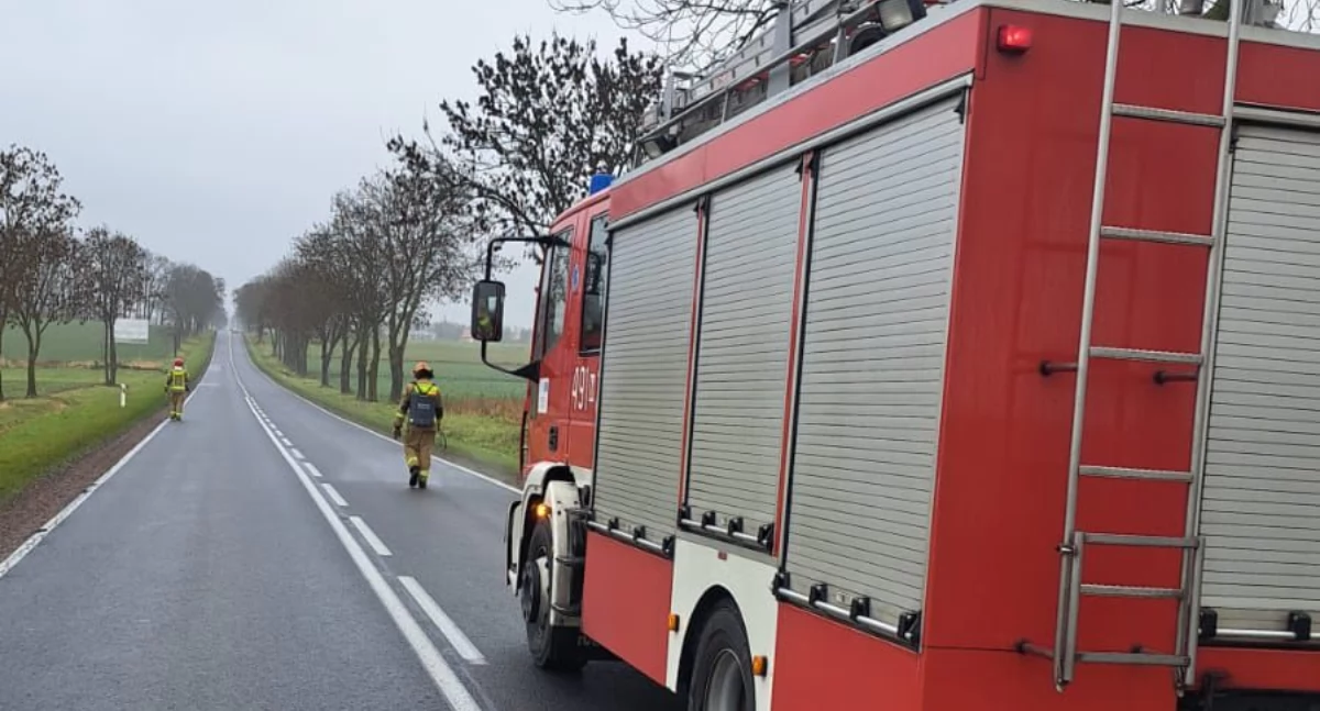 W okolicach Świniarowa na DK 19 ruch odbywa się wahadałowo, fot. KPP Łosice