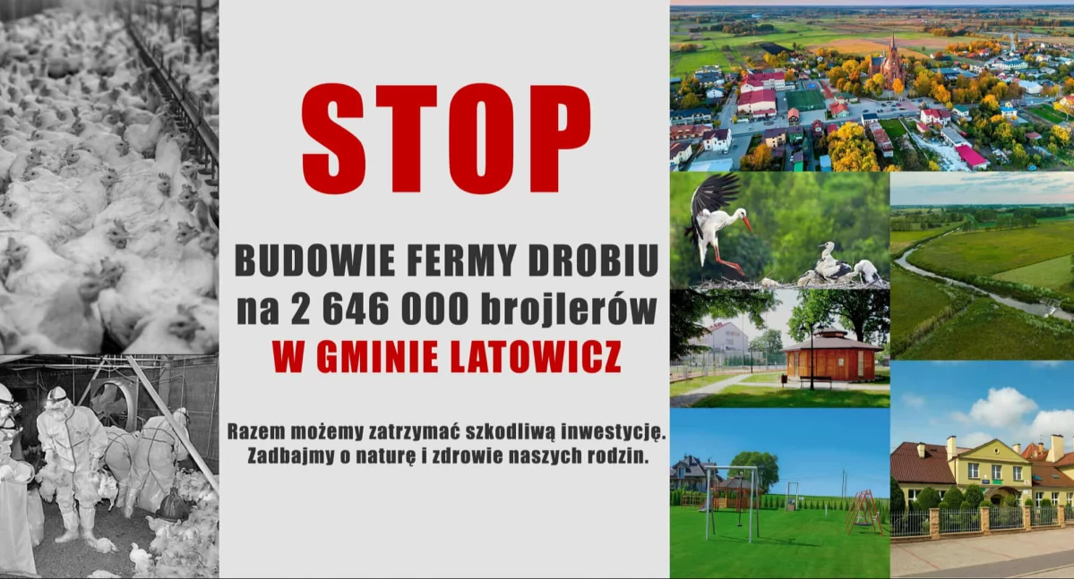 fot. protest